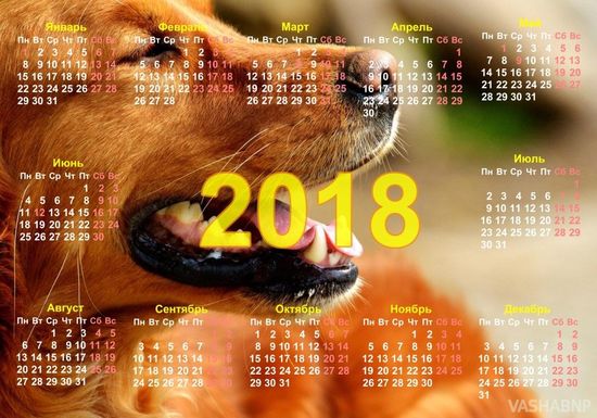 Календарь карманный 2018 год